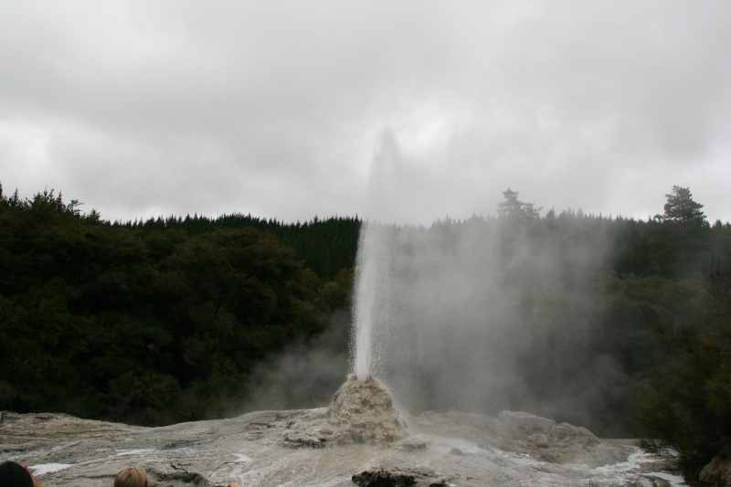 Nieuw-Zeeland 2011 - 0675